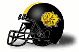Arkansas-Pine Bluff football helmet