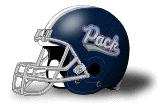 Nevada football helmet