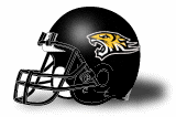 Towson football helmet