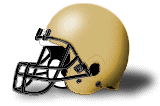 Wofford football helmet
